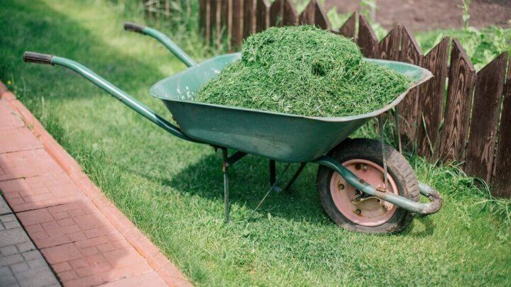 Jak dbać o trawnik latem